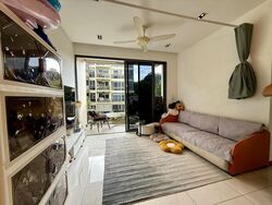 Palm Isles (D17), Condominium #504543701